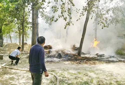 春夏来临,看我大展身手