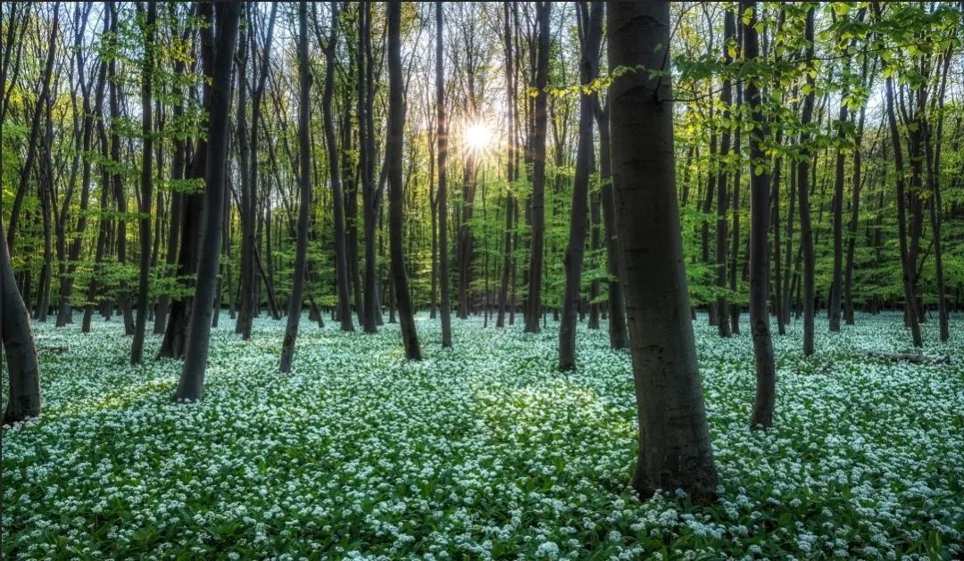 2024052013583147.jpg 2024052013583147.jpg